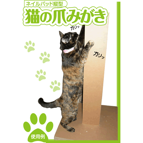 猫の爪みがき
